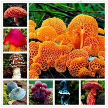 Load image into Gallery viewer, 100pcs/bag Red Mushroom Garden Ornament