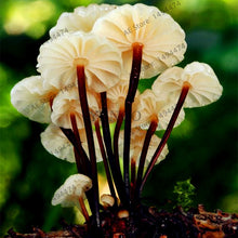 Load image into Gallery viewer, 100pcs/bag Red Mushroom Garden Ornament