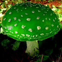 Load image into Gallery viewer, 100pcs/bag Red Mushroom Garden Ornament