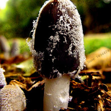 Load image into Gallery viewer, 100pcs/bag Red Mushroom Garden Ornament