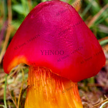 Load image into Gallery viewer, 100pcs/bag Red Mushroom Garden Ornament