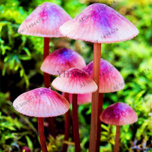 Load image into Gallery viewer, 100pcs/bag Red Mushroom Garden Ornament