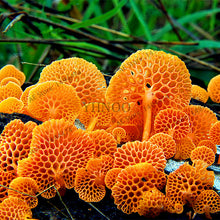 Load image into Gallery viewer, 100pcs/bag Red Mushroom Garden Ornament