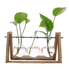 Load image into Gallery viewer, Plant terrarium with wooden stand