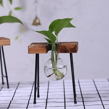 Load image into Gallery viewer, Plant terrarium with wooden stand