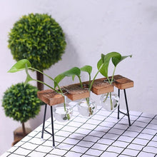 Load image into Gallery viewer, Plant terrarium with wooden stand