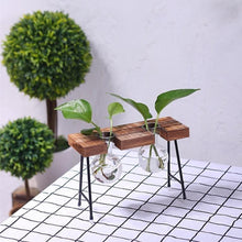 Load image into Gallery viewer, Plant terrarium with wooden stand